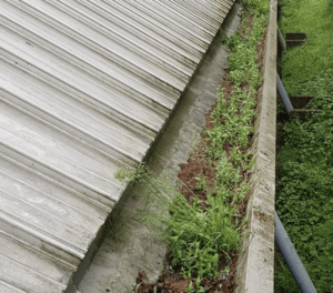 Happy customers in Bicester who trust The Roof Moss Cleaners for gutter cleaning services